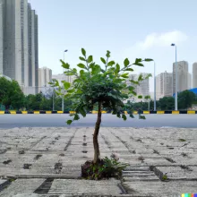 urban tree