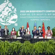 30-by-30 – Key takeaways from the 2022 UN Biodiversity Conference COP15