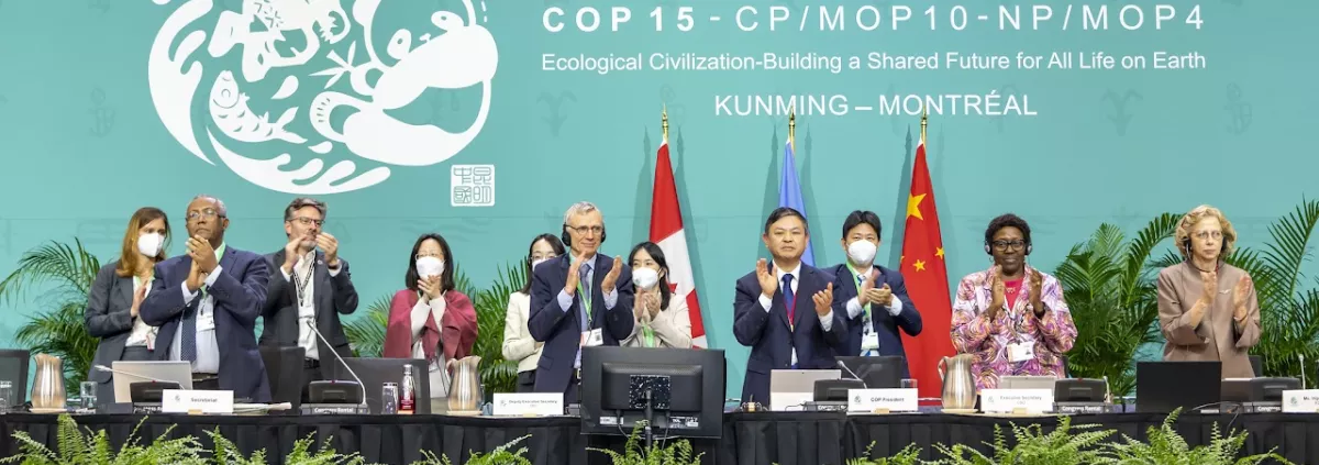 30-by-30 – Key takeaways from the 2022 UN Biodiversity Conference COP15