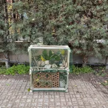 Our eco-garden bug hotel