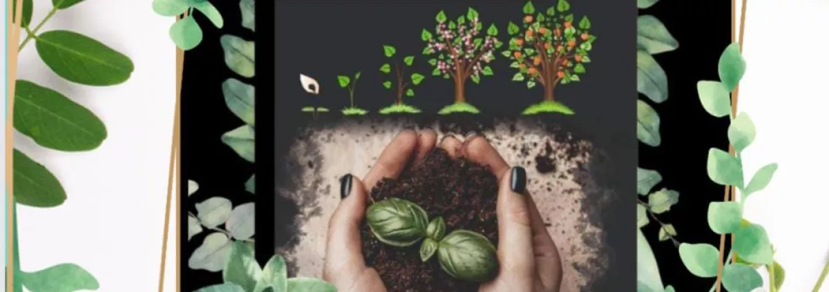 From Seed to Sapling