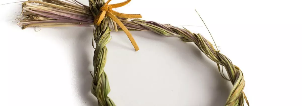 Sweetgrass is best planted not by seed, but by putting roots directly in the ground.