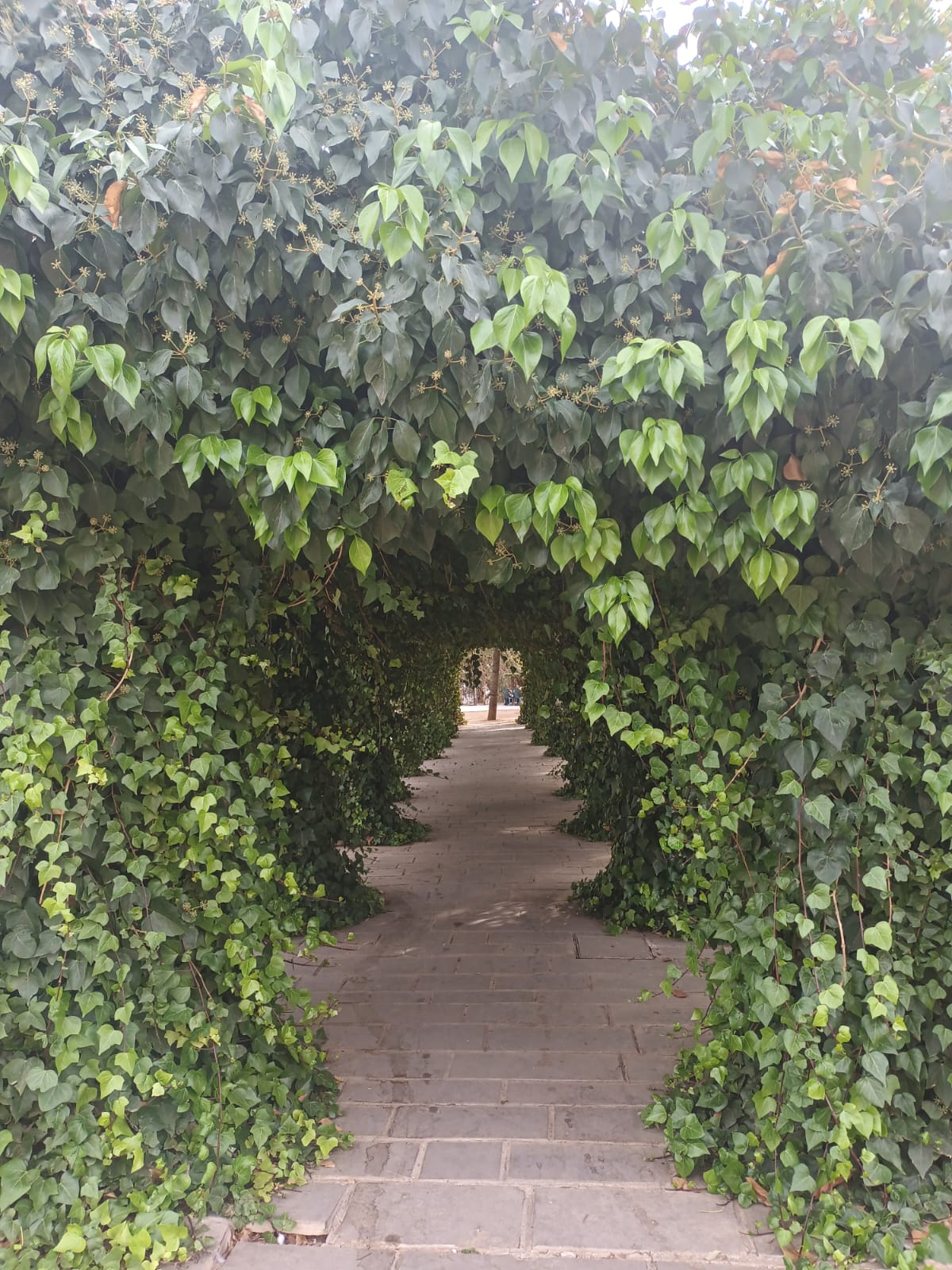 Camino Verde (Green Way)