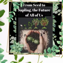 From Seed to Sapling
