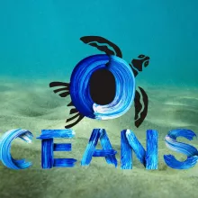 A turtle swimming with the text "oceans"