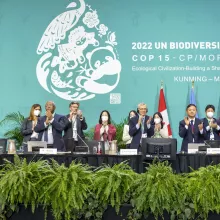 30-by-30 – Key takeaways from the 2022 UN Biodiversity Conference COP15