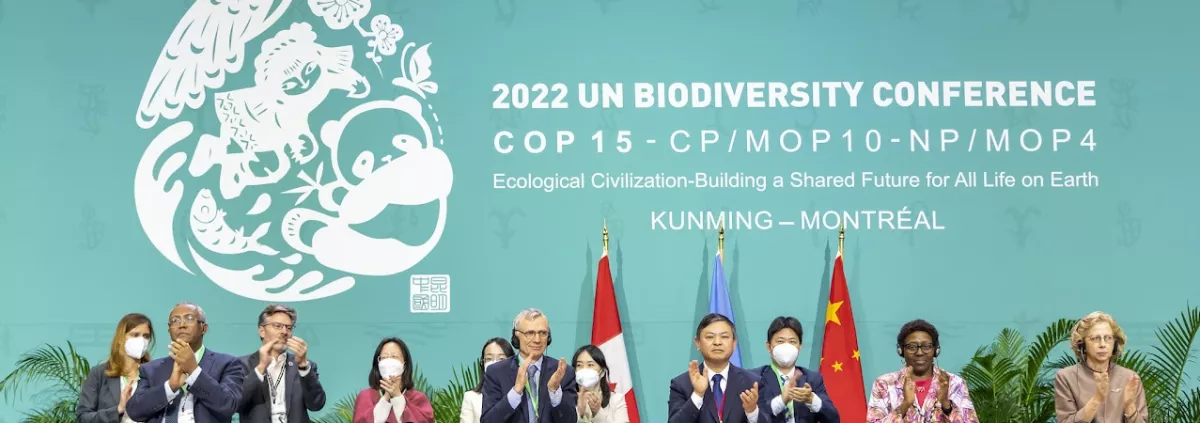 30-by-30 – Key takeaways from the 2022 UN Biodiversity Conference COP15